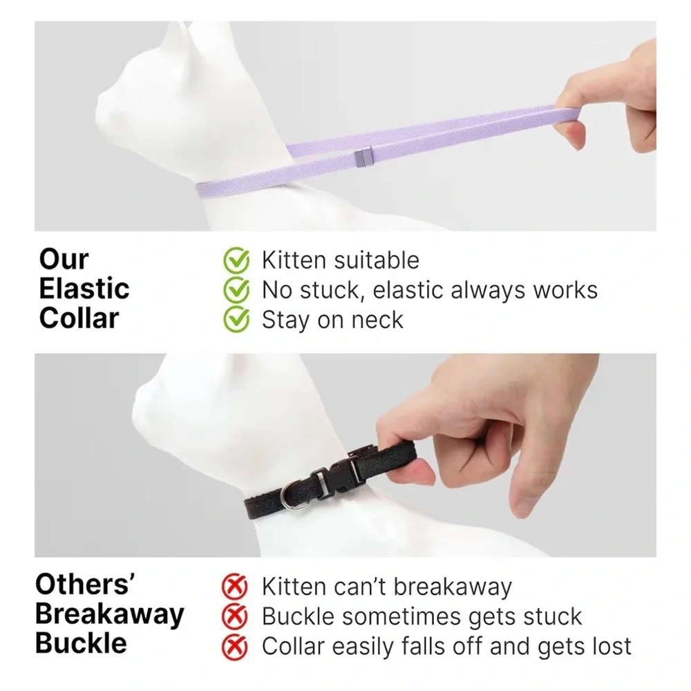 Purple Cat Safety Collar (A151)